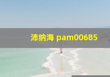 沛纳海 pam00685